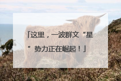 这里，一波群文“星”势力正在崛起！