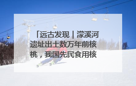 远古发现｜濛溪河遗址出土数万年前核桃，我国先民食用核桃历史大幅提前