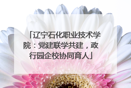 辽宁石化职业技术学院：党建联学共建，政行园企校协同育人