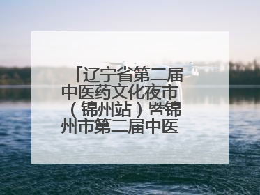 辽宁省第二届中医药文化夜市（锦州站）暨锦州市第二届中医康养夜市启幕
