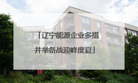 辽宁能源企业多措并举备战迎峰度夏