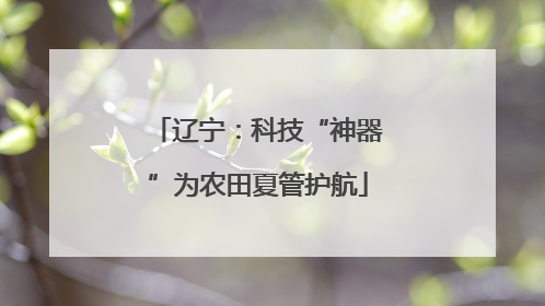 辽宁：科技“神器”为农田夏管护航
