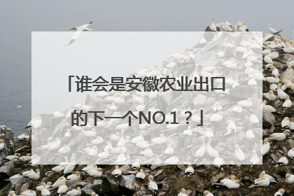 谁会是安徽农业出口的下一个NO.1？
