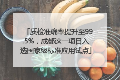 质检准确率提升至99.5%，成都这一项目入选国家级标准应用试点