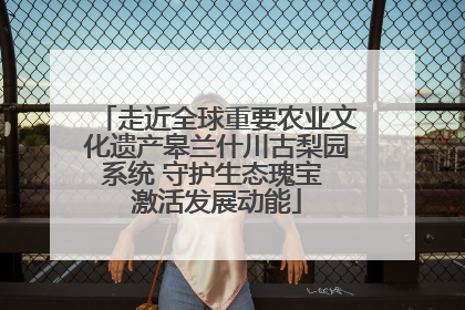 走近全球重要农业文化遗产皋兰什川古梨园系统 守护生态瑰宝 激活发展动能