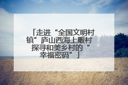 走进“全国文明村镇”庐山西海上畈村 探寻和美乡村的“幸福密码”