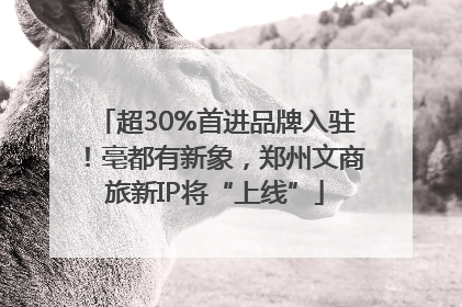 超30%首进品牌入驻！亳都有新象，郑州文商旅新IP将“上线”