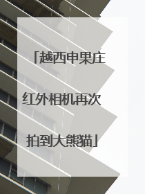 越西申果庄红外相机再次拍到大熊猫