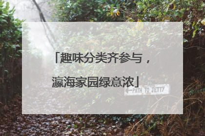 趣味分类齐参与，瀛海家园绿意浓