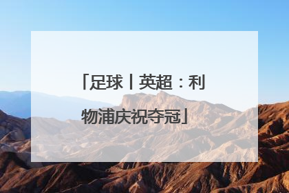 足球丨英超：利物浦庆祝夺冠