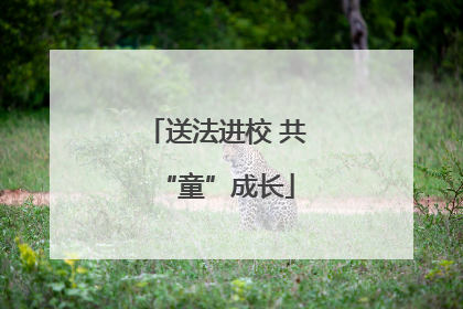 送法进校 共“童”成长