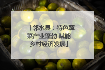 邻水县：特色蔬菜产业蓬勃 赋能乡村经济发展