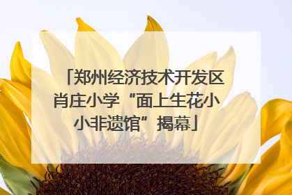 郑州经济技术开发区肖庄小学“面上生花小小非遗馆”揭幕