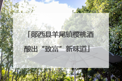 郧西县羊尾镇樱桃酒酿出“致富”新味道