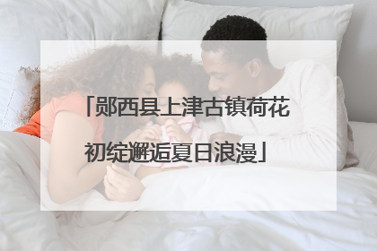 郧西县上津古镇荷花初绽邂逅夏日浪漫