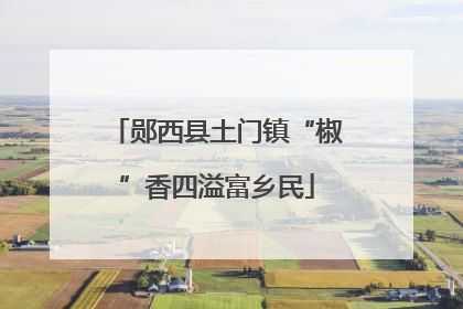 郧西县土门镇“椒”香四溢富乡民