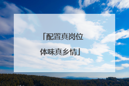 配置真岗位 体味真乡情