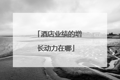 酒店业绩的增长动力在哪
