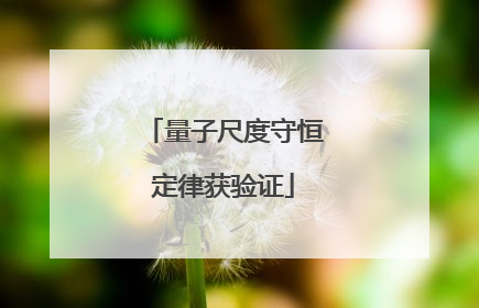 量子尺度守恒定律获验证