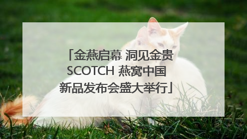 金燕启幕 洞见金贵 SCOTCH 燕窝中国新品发布会盛大举行