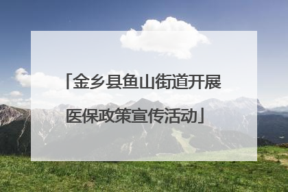 金乡县鱼山街道开展医保政策宣传活动