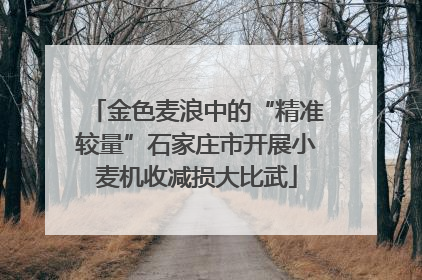 金色麦浪中的“精准较量”石家庄市开展小麦机收减损大比武