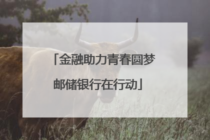金融助力青春圆梦邮储银行在行动
