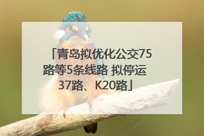 青岛拟优化公交75路等5条线路 拟停运37路、K20路