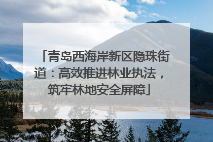 青岛西海岸新区隐珠街道：高效推进林业执法，筑牢林地安全屏障