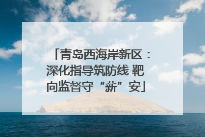 青岛西海岸新区：深化指导筑防线 靶向监督守“薪”安