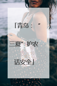青岛：“三夏”护农话安全