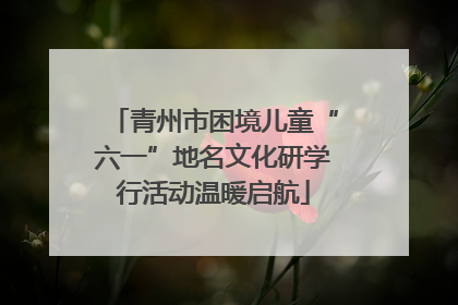青州市困境儿童“六一”地名文化研学行活动温暖启航