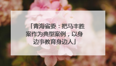 青海省委：把马丰胜案作为典型案例，以身边事教育身边人