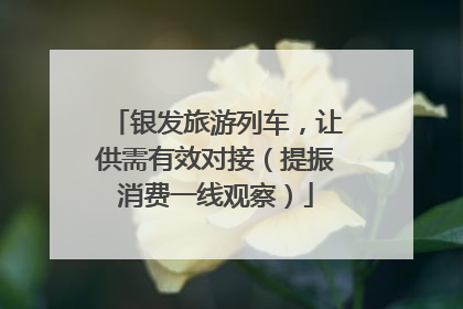 银发旅游列车，让供需有效对接（提振消费一线观察）