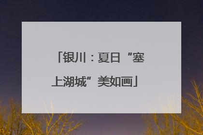 银川：夏日“塞上湖城”美如画