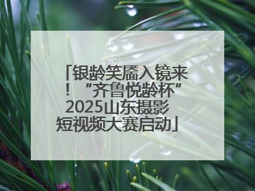 银龄笑靥入镜来！“齐鲁悦龄杯”2025山东摄影短视频大赛启动