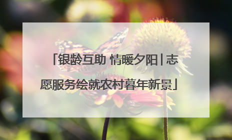 银龄互助 情暖夕阳│志愿服务绘就农村暮年新景