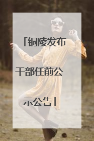 铜陵发布干部任前公示公告