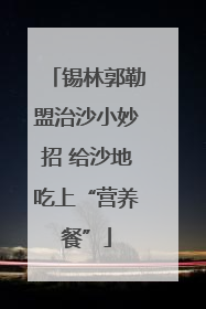锡林郭勒盟治沙小妙招 给沙地吃上“营养餐”