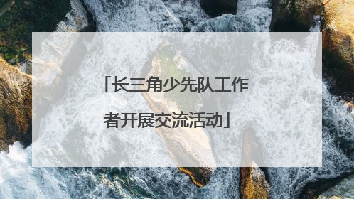 长三角少先队工作者开展交流活动
