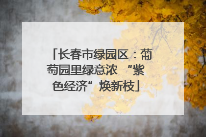 长春市绿园区：葡萄园里绿意浓 “紫色经济”焕新枝