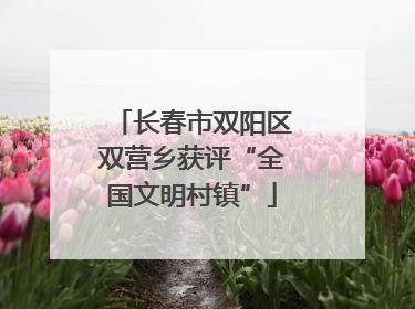 长春市双阳区双营乡获评“全国文明村镇”