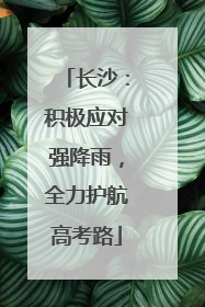 长沙：积极应对强降雨，全力护航高考路