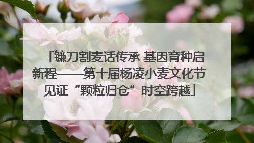 镰刀割麦话传承 基因育种启新程——第十届杨凌小麦文化节见证“颗粒归仓”时空跨越