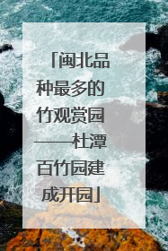 闽北品种最多的竹观赏园——杜潭百竹园建成开园