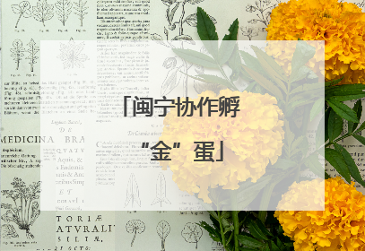 闽宁协作孵“金”蛋