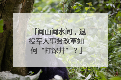 闽山闽水间，退役军人事务改革如何“打深井”？