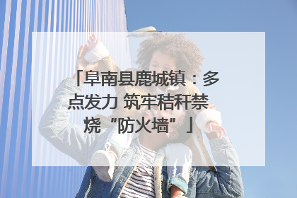 阜南县鹿城镇：多点发力 筑牢秸秆禁烧“防火墙”