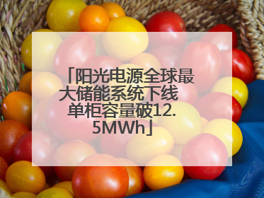 阳光电源全球最大储能系统下线 单柜容量破12.5MWh