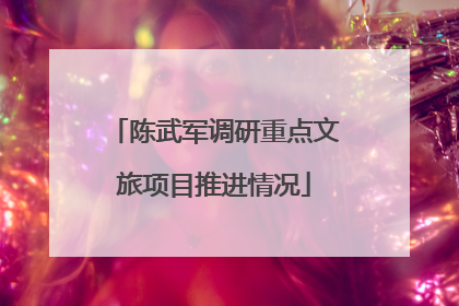 陈武军调研重点文旅项目推进情况